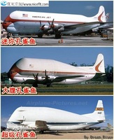 孔雀鱼运输机